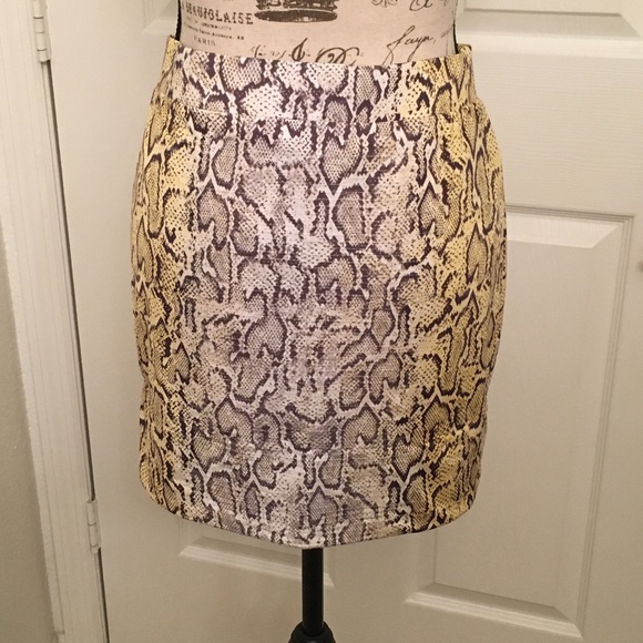 Cache skirt - Picture 3 of 4